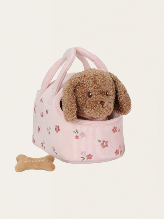 Piesek Jackie w nosidełku