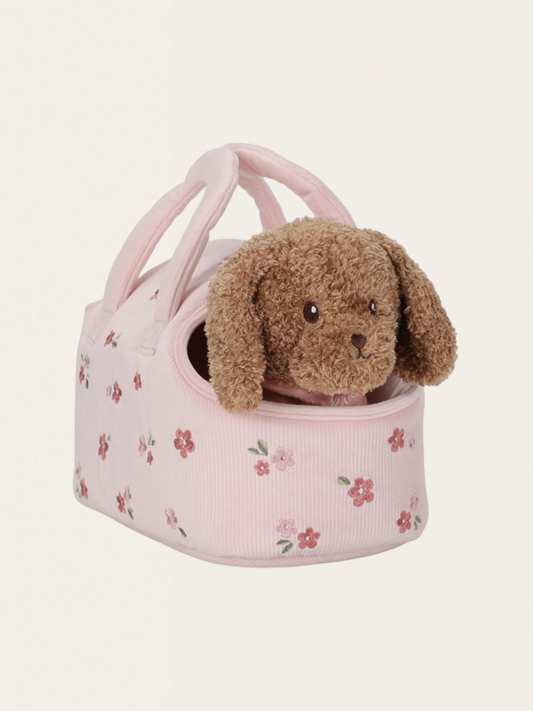 Piesek Jackie w nosidełku