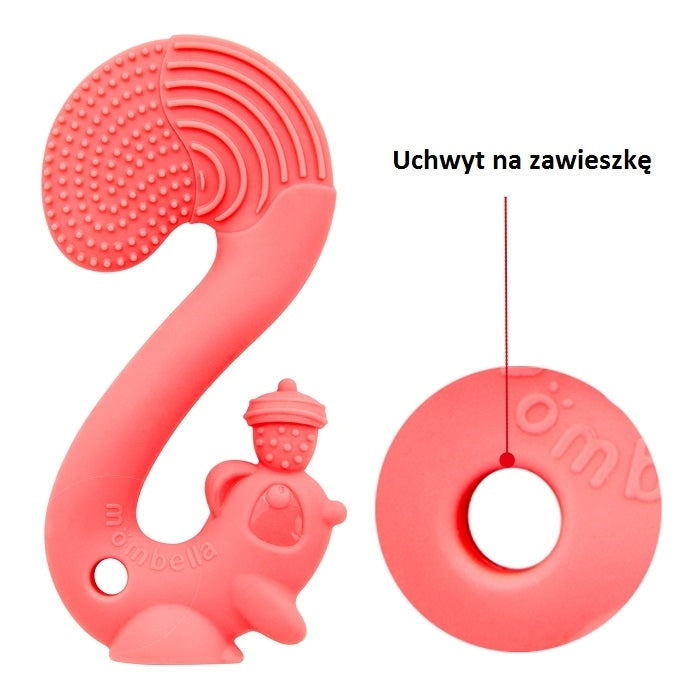 Gryzak wiewiórka Squirrel