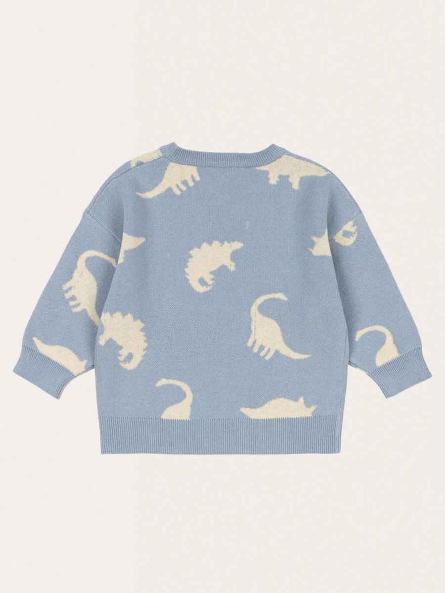 Bluza dzianinowa Lapis Dino Mist