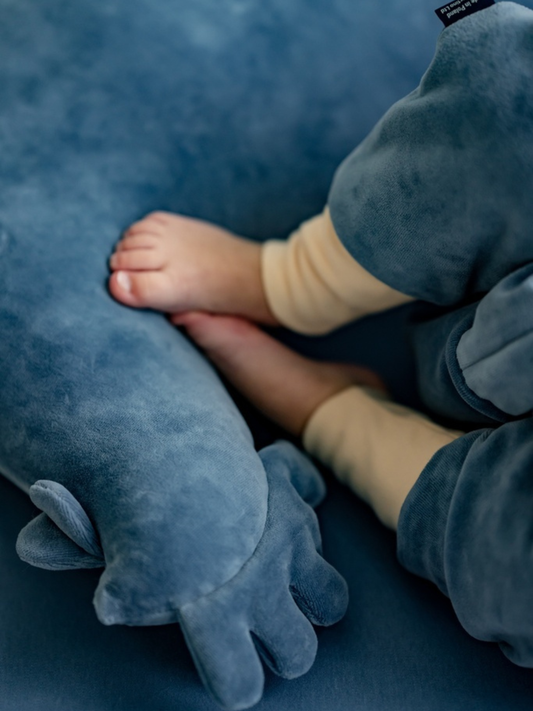 Poduszka do karmienia Kura Babci Dany Cotto Wind Blue