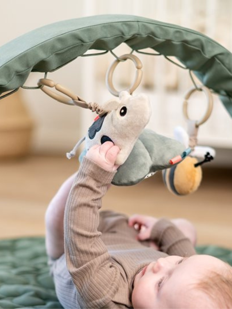 Pałąk edukacyjny z zawieszkami Tiny Farm Green