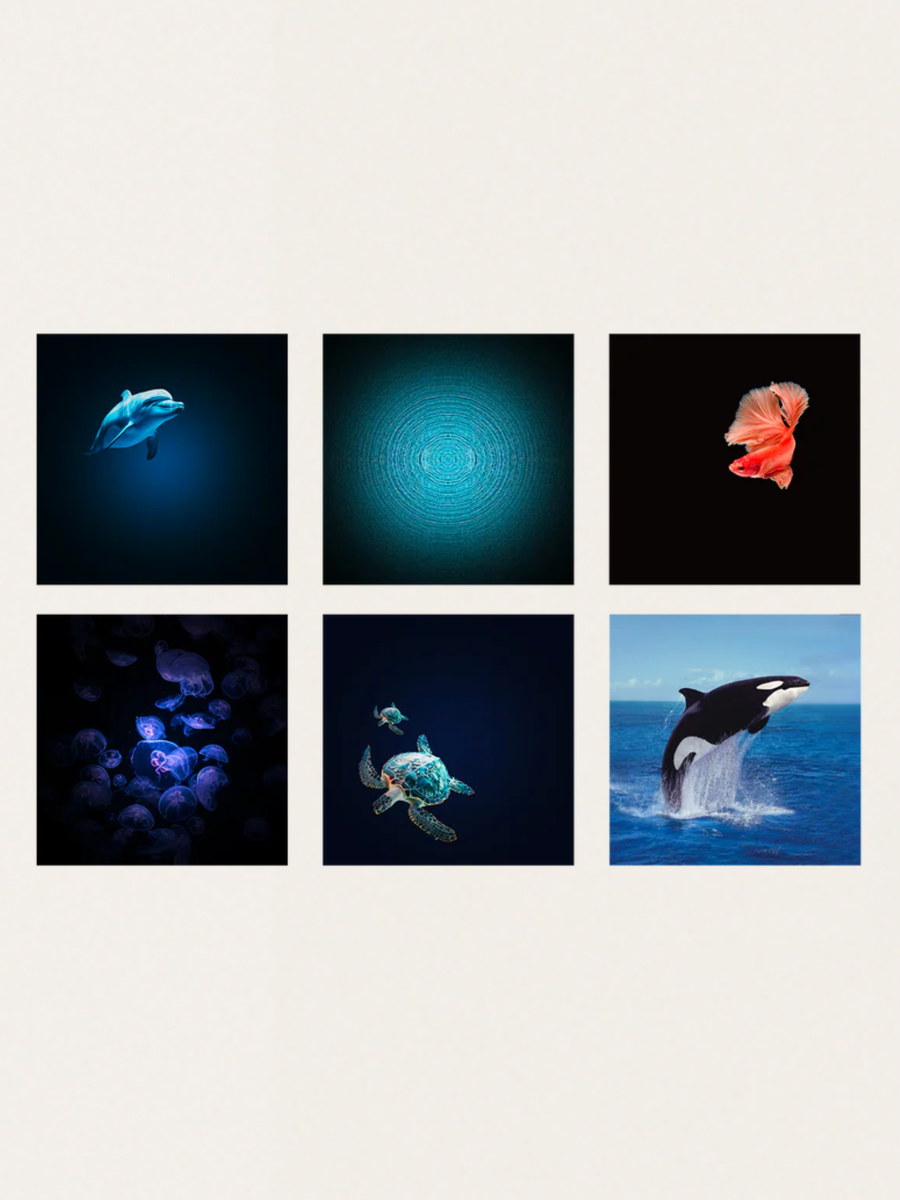 Projektor ścienny Ocean and seas z głośnikiem bluetooth