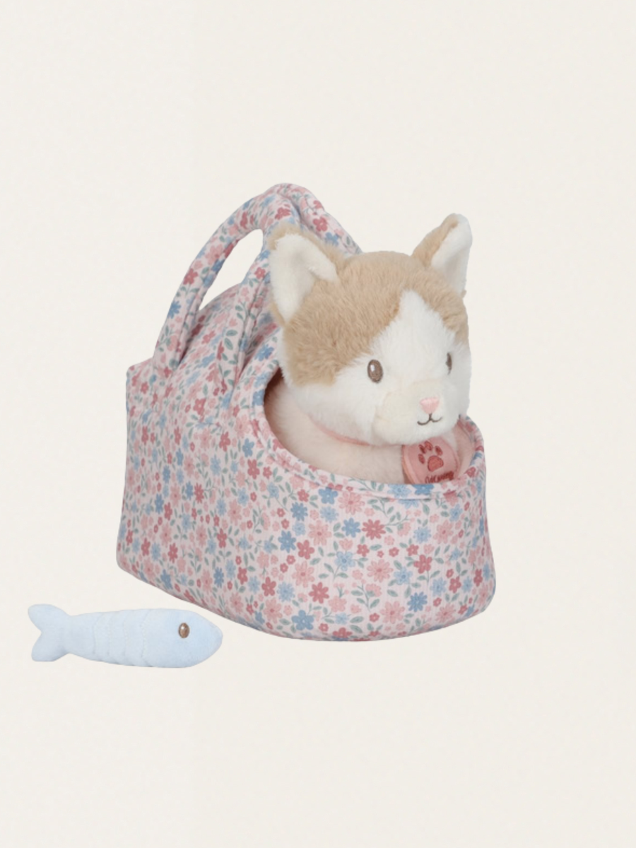 Kot Marley w nosidełku