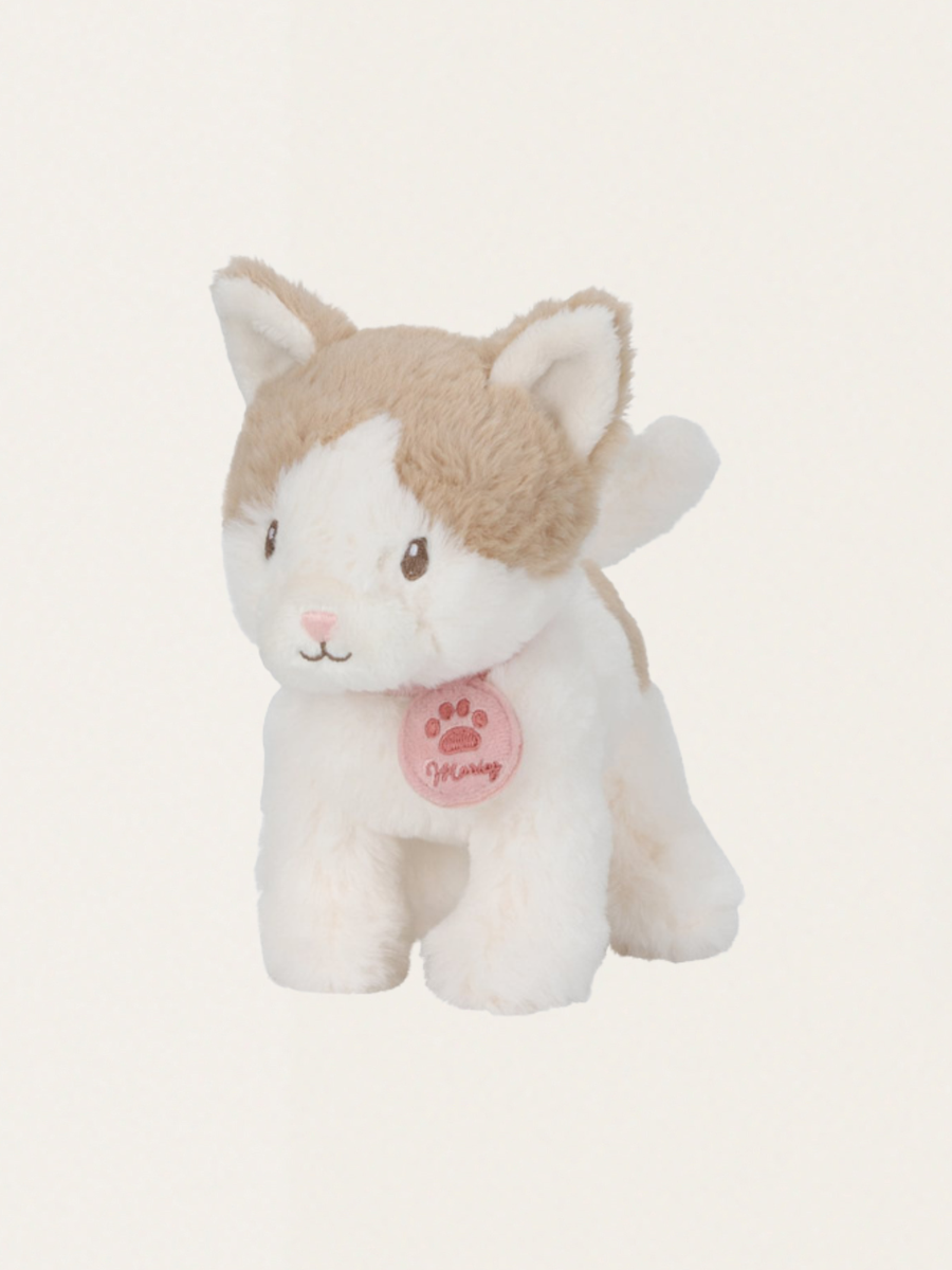 Kot Marley w nosidełku