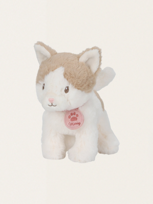 Kot Marley w nosidełku