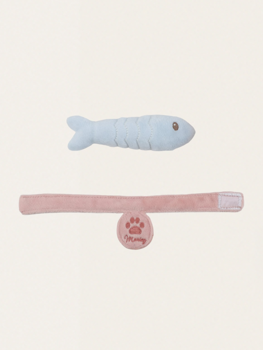 Kot Marley w nosidełku