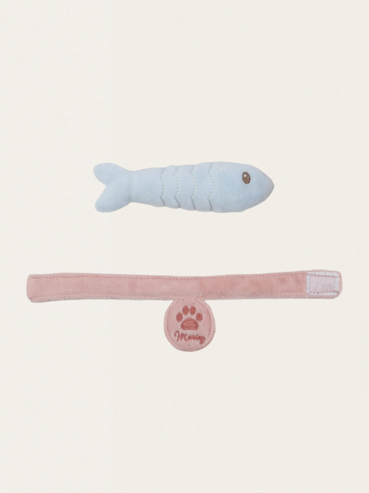 Kot Marley w nosidełku