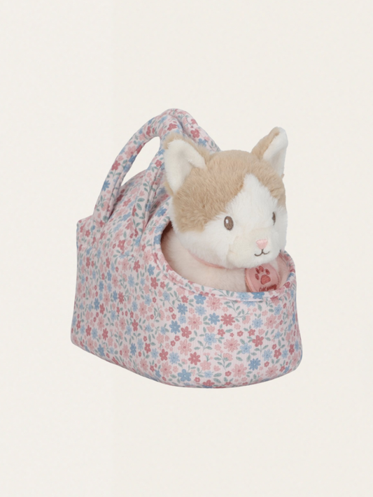 Kot Marley w nosidełku