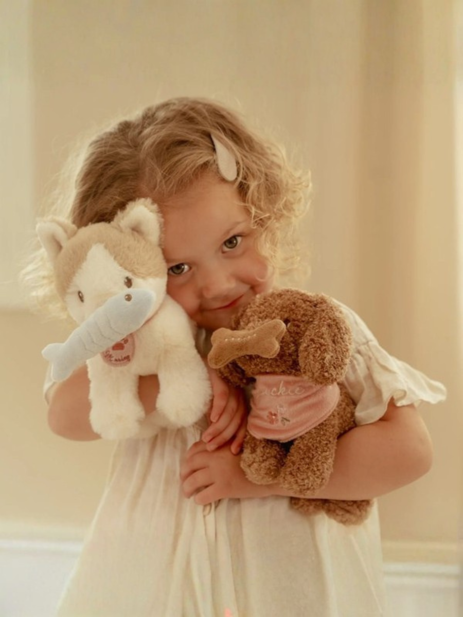 Kot Marley w nosidełku