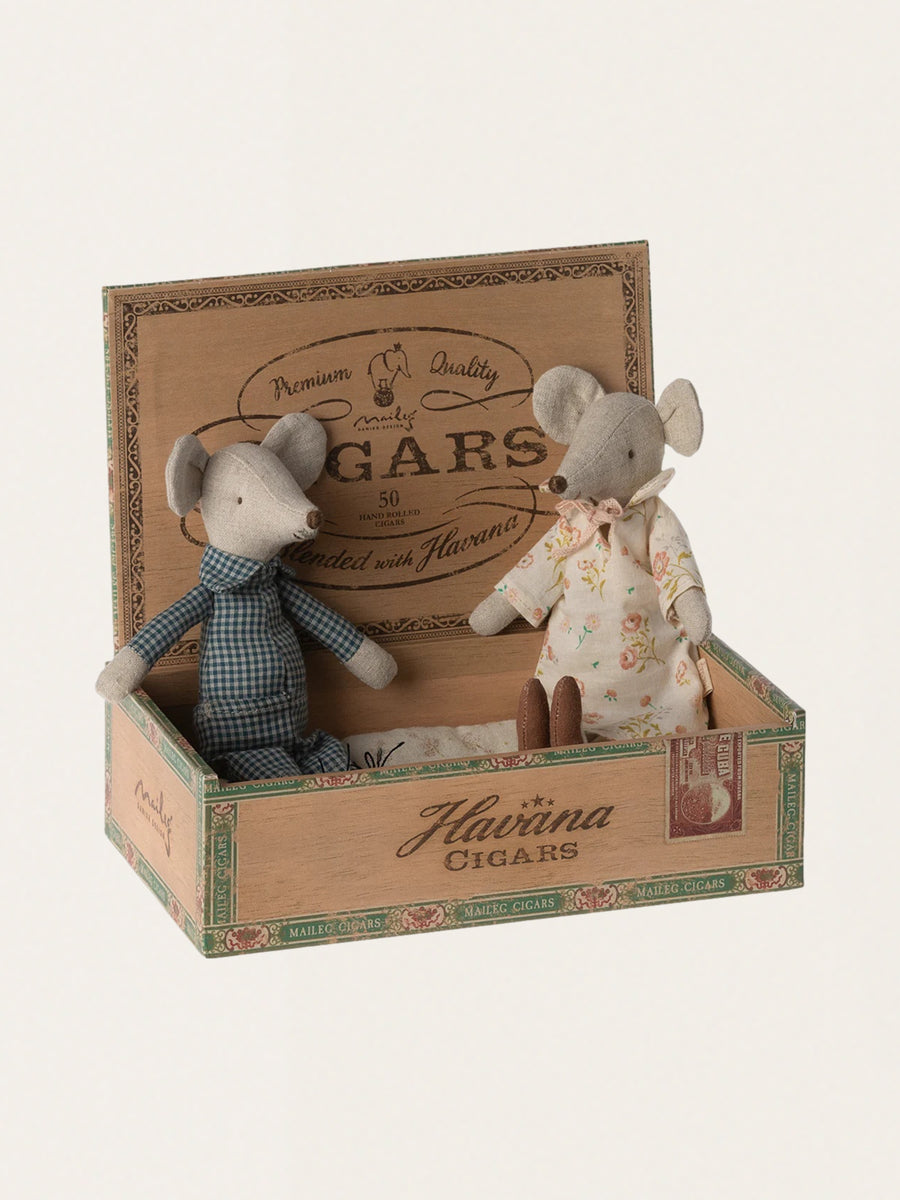 Myszki babcia i dziadek w pudełku po cygarach