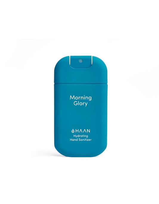 Morning Glory