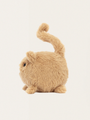 Kotek imbirowy 10 cm
