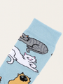 Skarpetki w kotki Meow socks