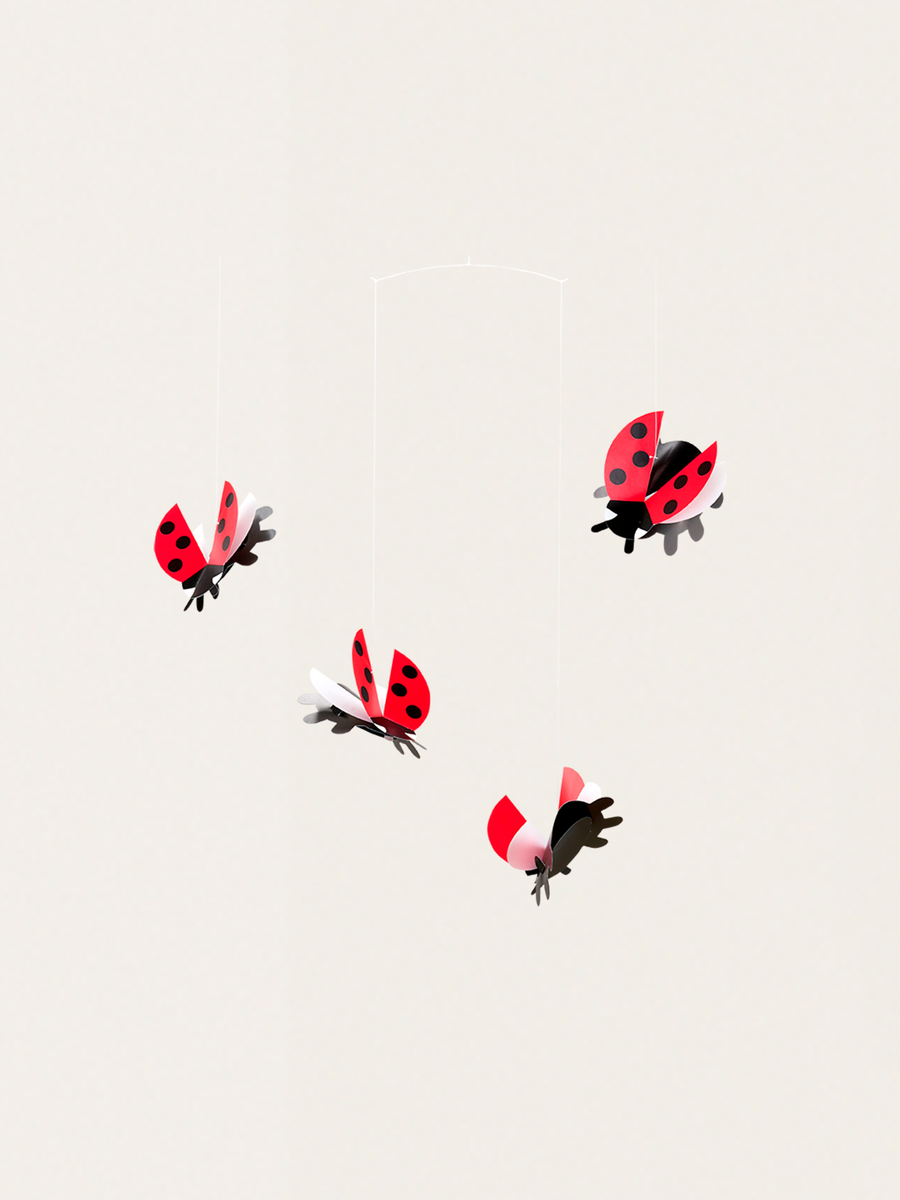 Kolorowy mobil z biedronkami LadyBird