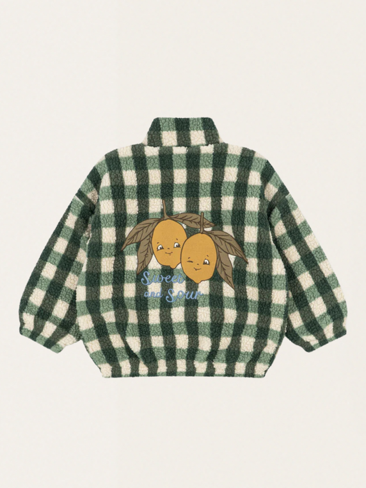 Polarowa kurtka Jody Teddy Green Check