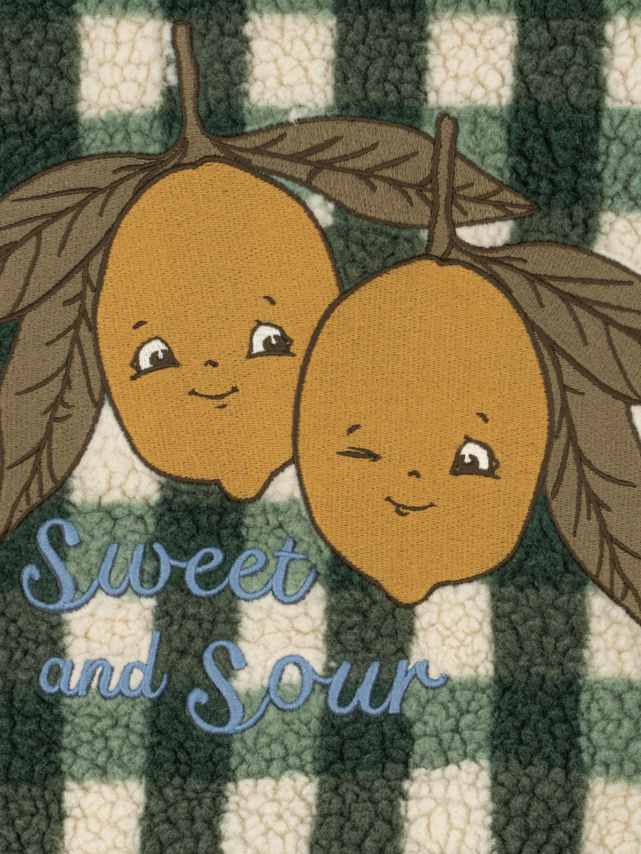 Polarowa kurtka Jody Teddy Green Check