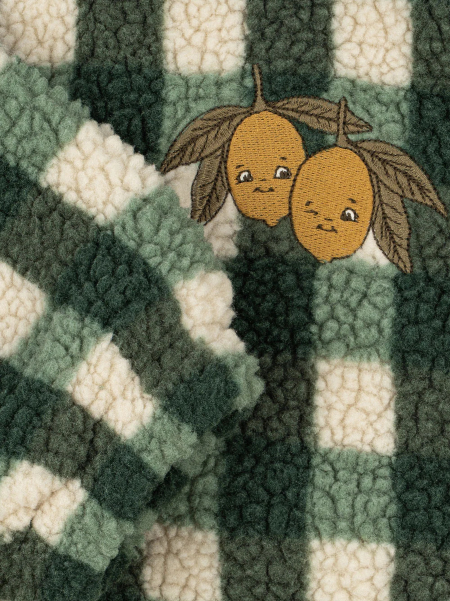 Polarowa kurtka Jody Teddy Green Check