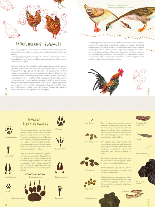 Co mówią zwierzęta?