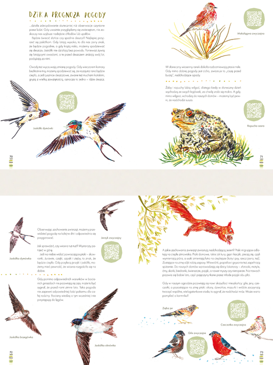 Co mówią zwierzęta?