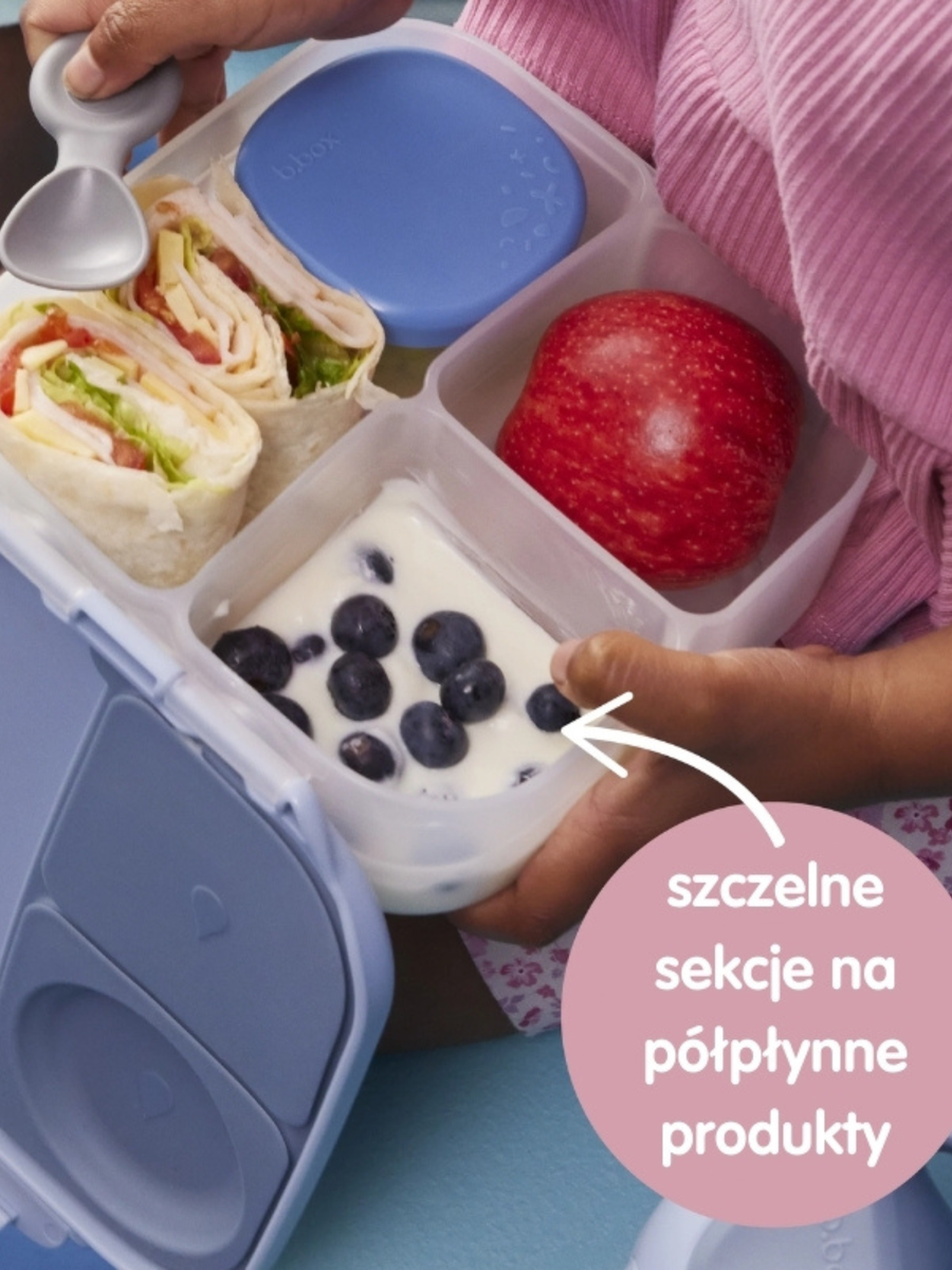 Mini Lunchbox z przegródkami