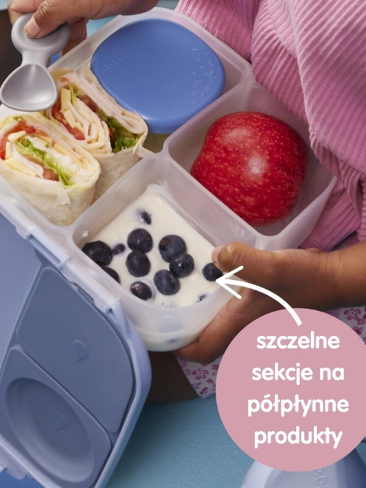 Mini Lunchbox z przegródkami