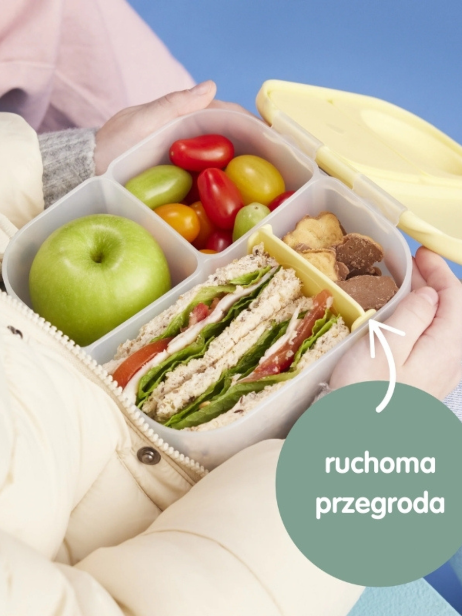 Mini Lunchbox z przegródkami