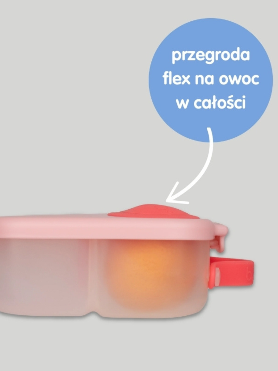 Mini Lunchbox z przegródkami