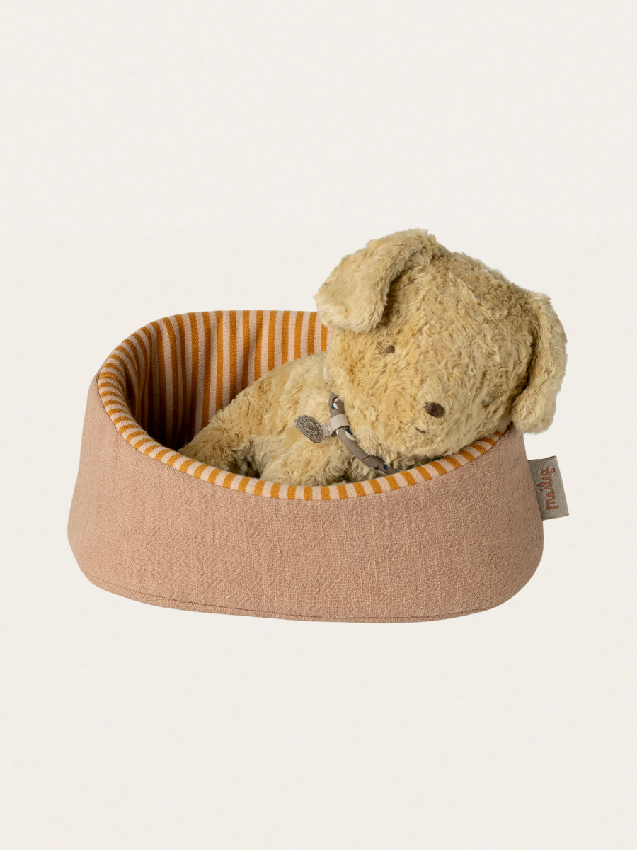 Koszyk dla psa Powder