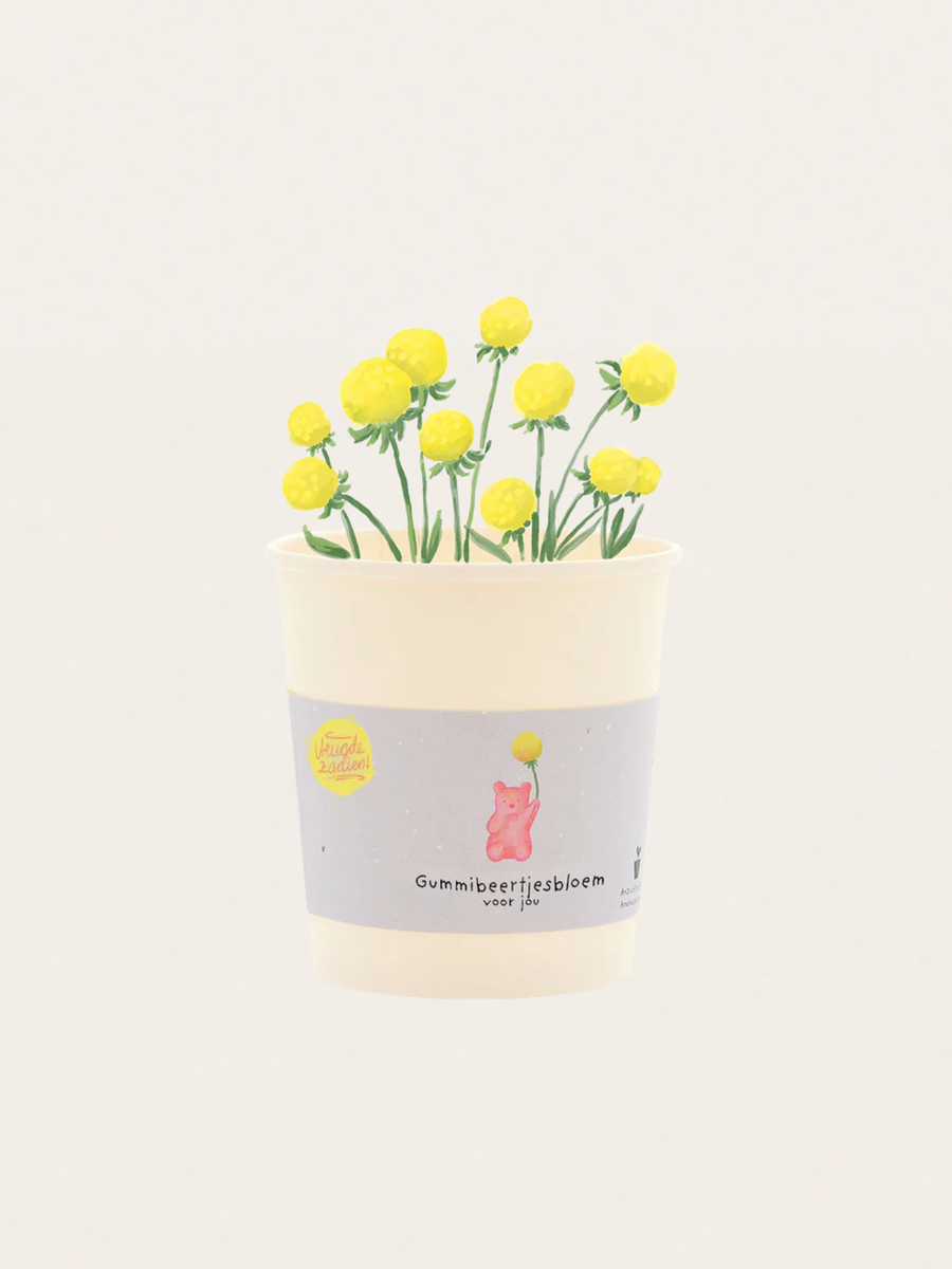 Zestaw do samodzielnej uprawy kwiatów o zapachu żelków