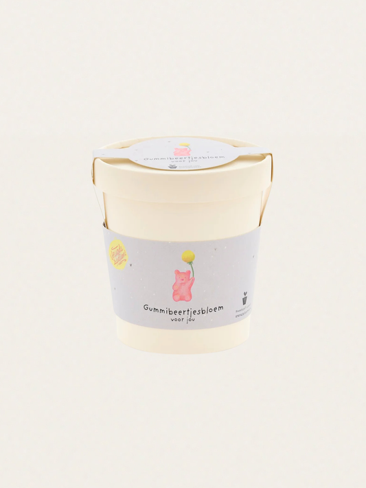 Zestaw do samodzielnej uprawy kwiatów o zapachu żelków