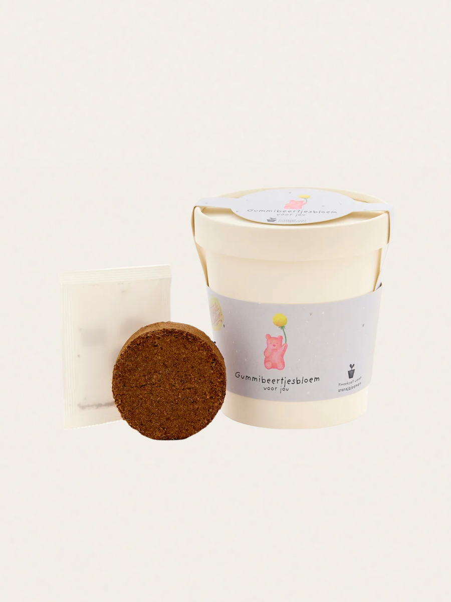 Zestaw do samodzielnej uprawy kwiatów o zapachu żelków