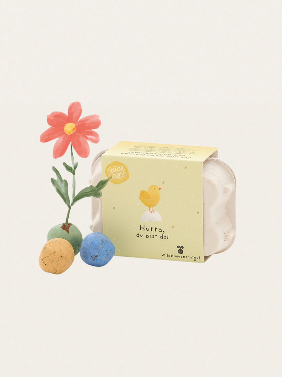 Kolorowe kulki z nasionami kwiatów w kartoniku na jajka Hurra, Du bist Da