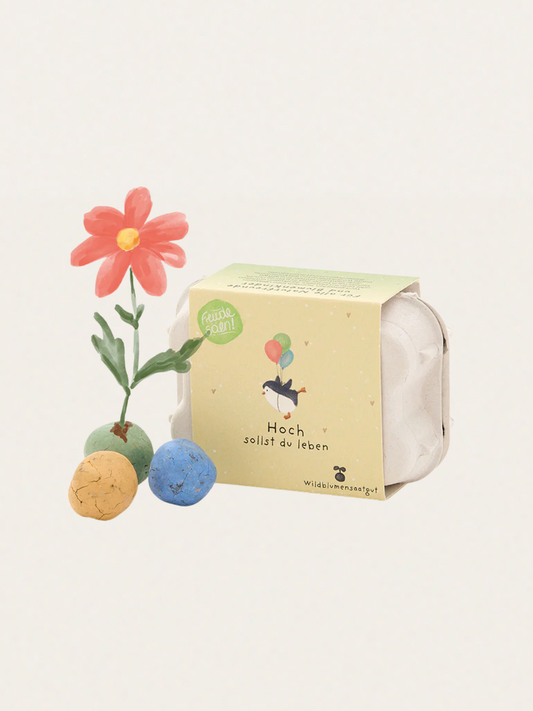 Kolorowe kulki z nasionami kwiatów w kartoniku na jajka Hoch sollst du leben