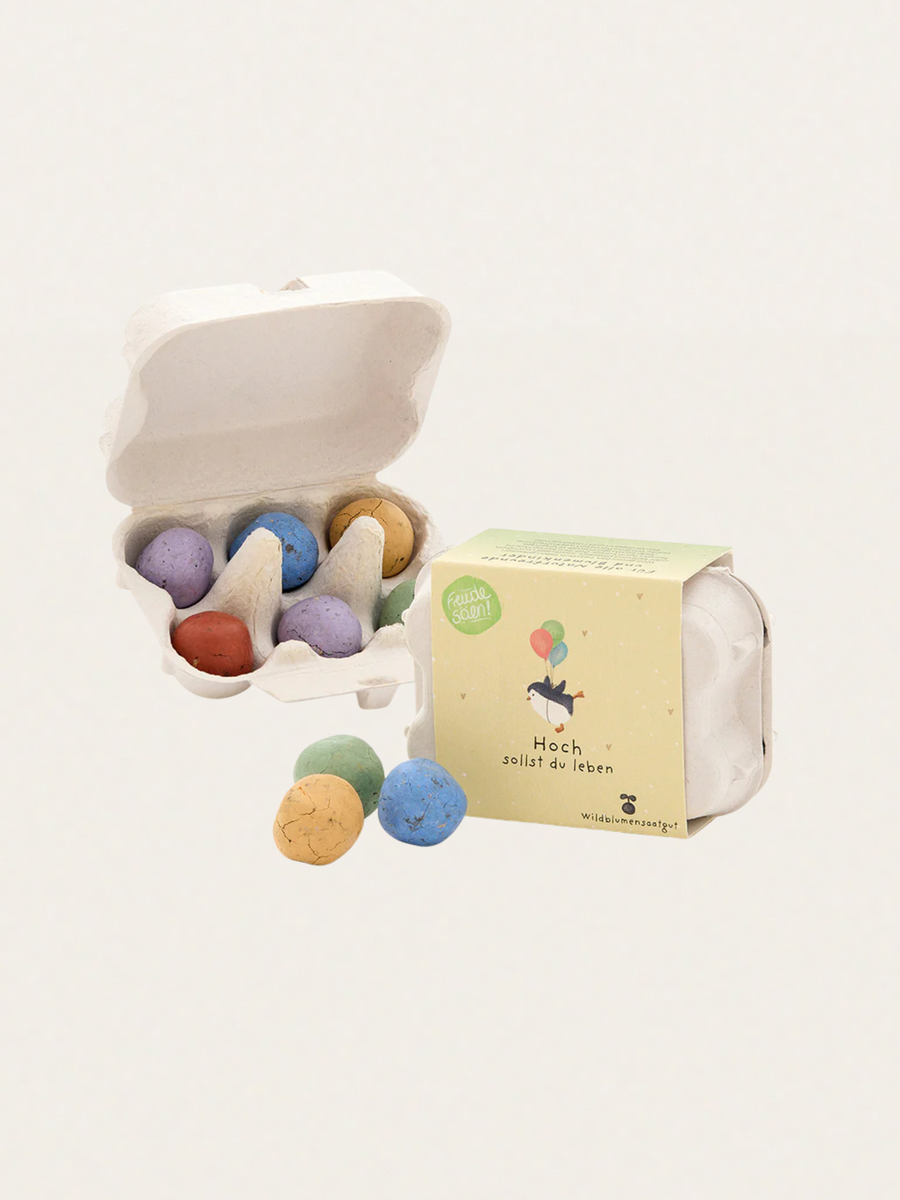 Kolorowe kulki z nasionami kwiatów w kartoniku na jajka Hoch sollst du leben