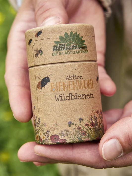 Mieszanka nasion - miododajne rośliny