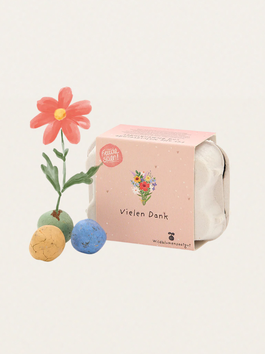 Kolorowe kulki z nasionami kwiatów w kartoniku na jajka Vielen Dank