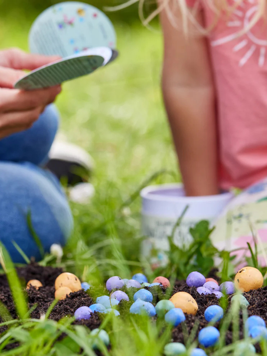 Kolorowe kulki z nasionami kwiatów 100 szt.