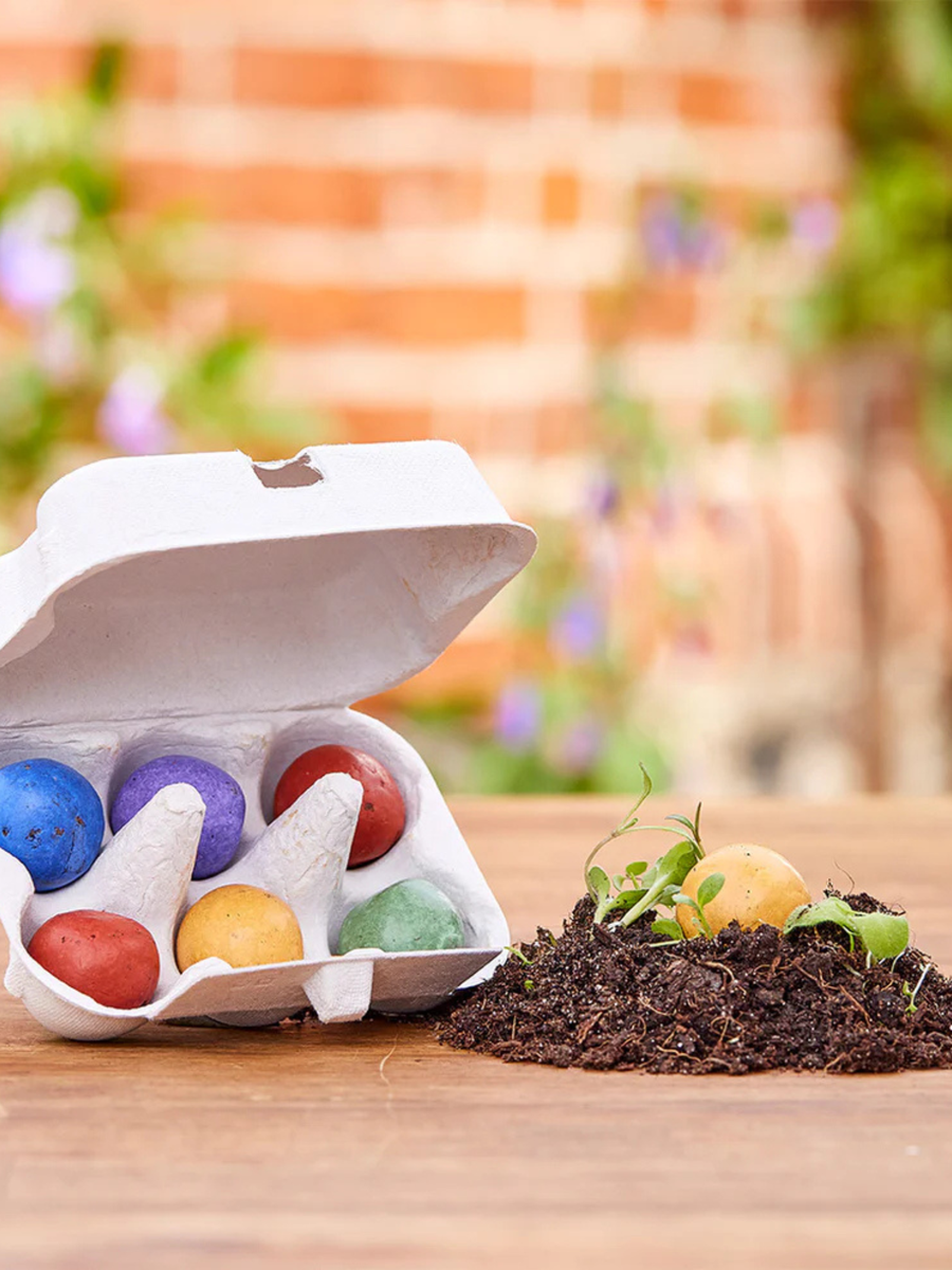 Kolorowe kulki z nasionami wielkanocnych kwiatów w kartoniku na jajka
