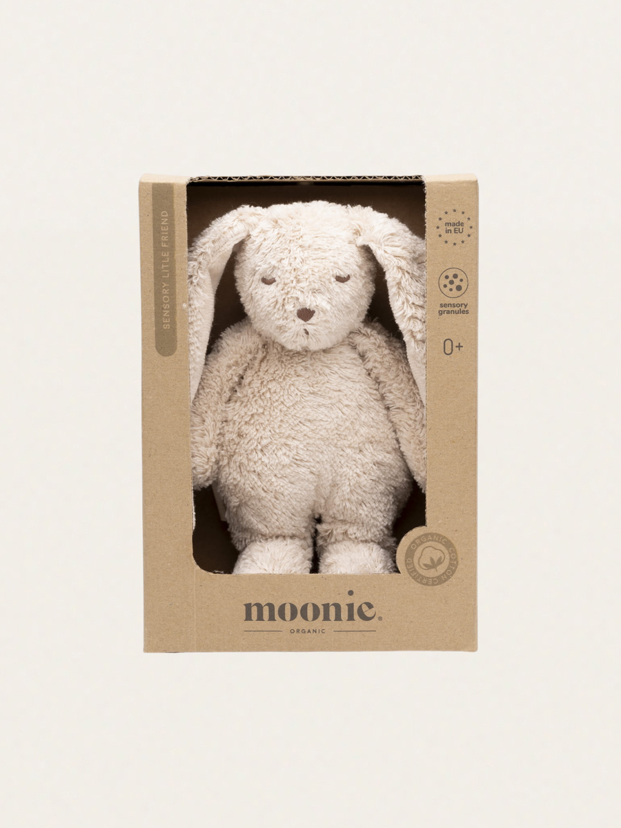 Sand Sensory Teddy Bear
