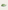 Tenisówki wsuwane Slip-On Checkboarder Green