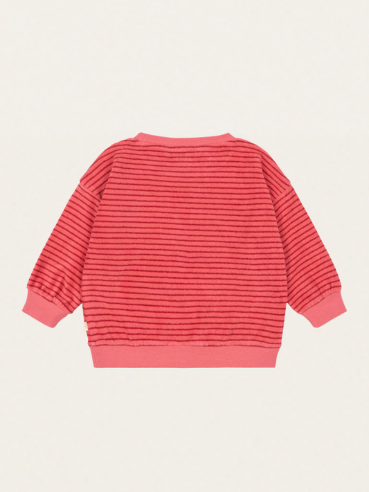 Bluza frotte Itty Cardinal rose stripe