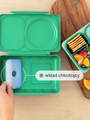Lunchbox z termosem OmieBox Up