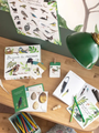 Pudełko edukacyjne - odkrywcy ptaków