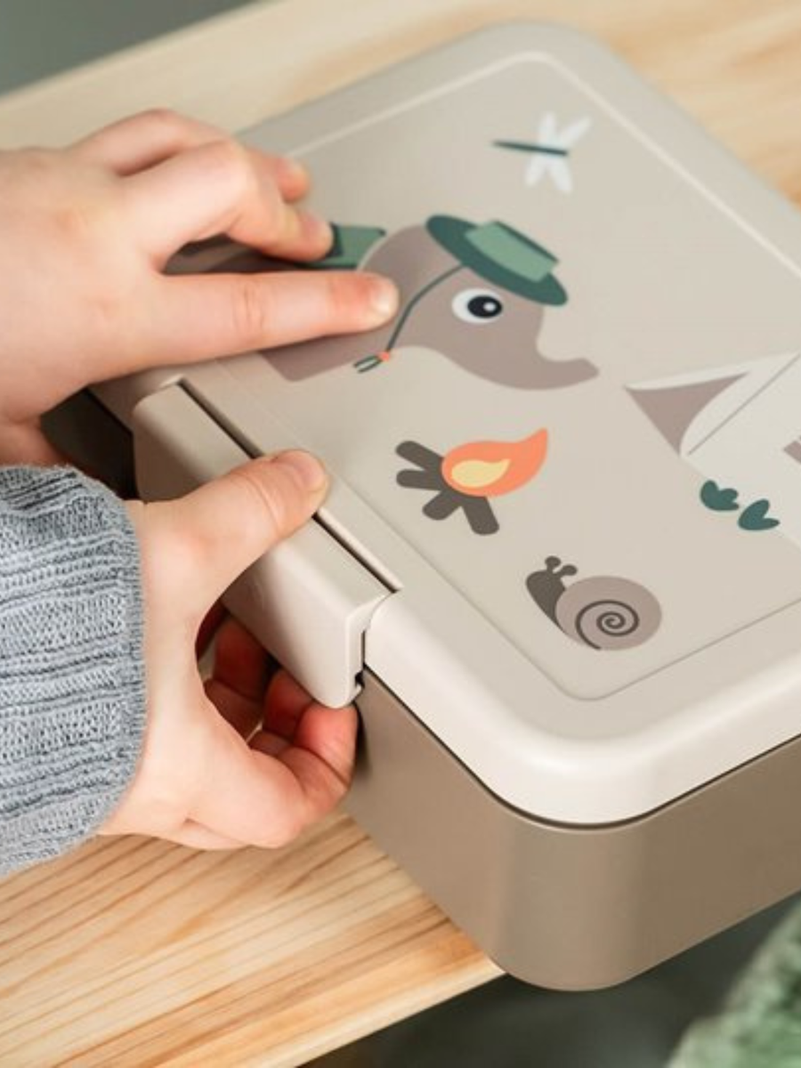 Lunchbox z separatorem Tiny Trails