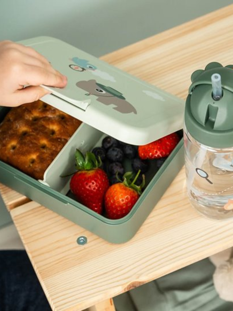 Lunchbox z separatorem Tiny Trails