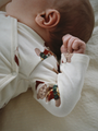 Bawełniany zestaw Newborn Basic - Body i spodenki Teddy Bear