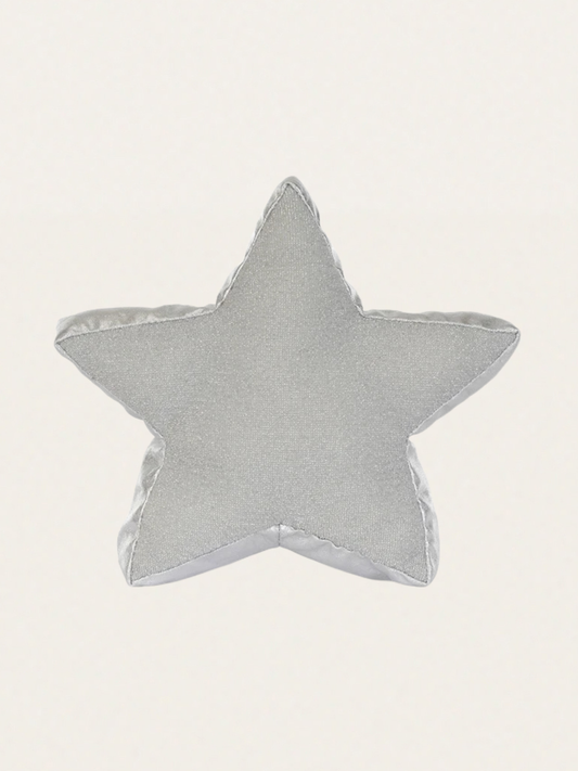 Srebrna gwiazdka 17 cm
